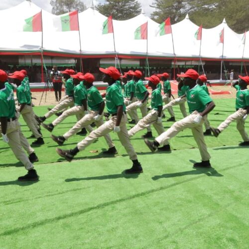 Rumonge: takriban wanafunzi mia moja waliopata mafunzo ya kijeshi ya CNDD-FDD