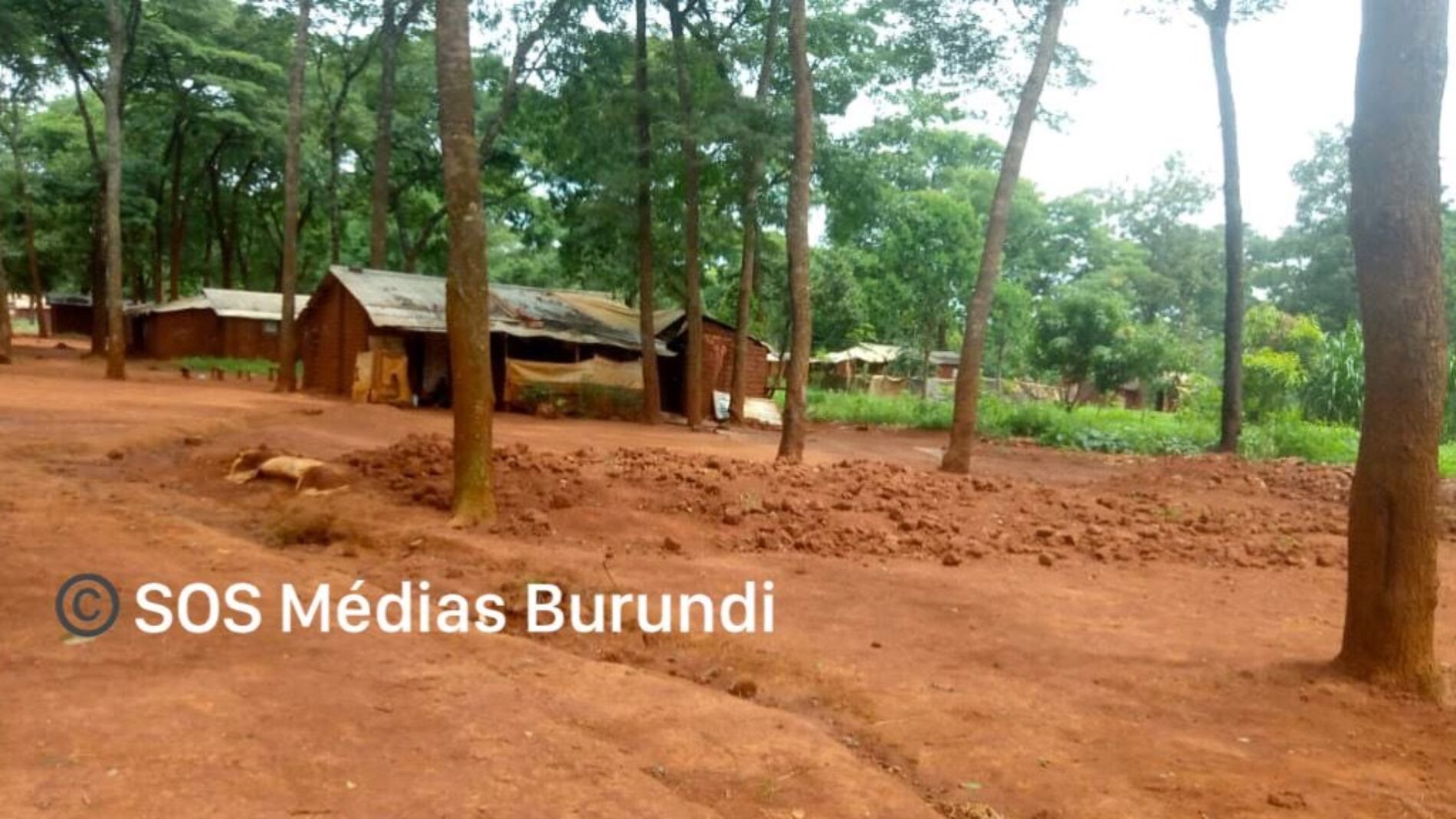 Nduta (Tanzania): kubomolewa kwa nyumba kwa kosa dogo la wakimbizi