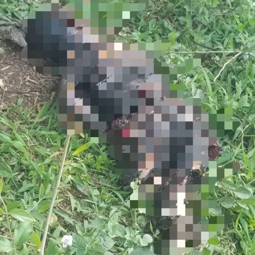 Nakivale (Uganda): mtoto mkimbizi wa Burundi aliyepatikana amekufa, akiwa amechomwa moto
