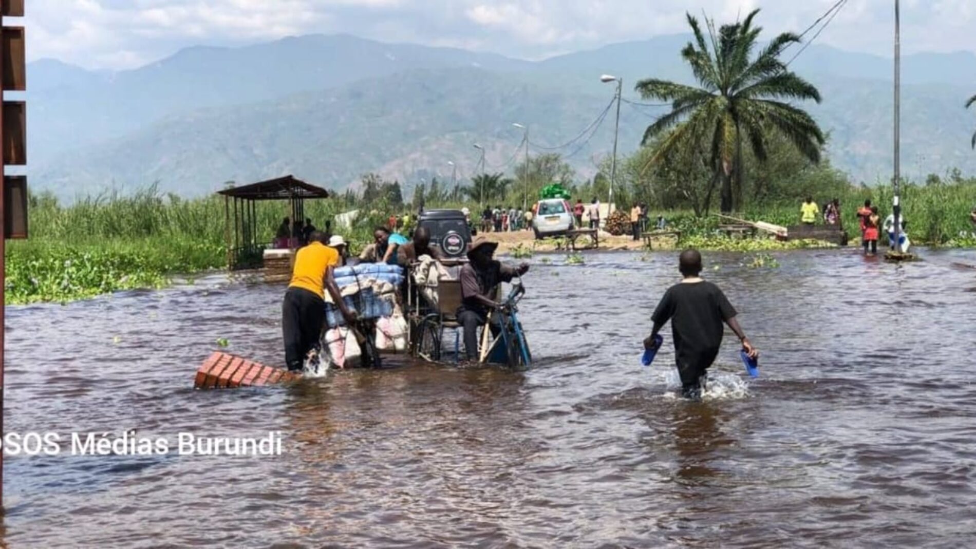 Lake Tanganyika : more than a lake, a life threatened by inaction