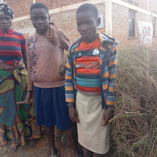 Rango : Batwa pupils between school and daily survival