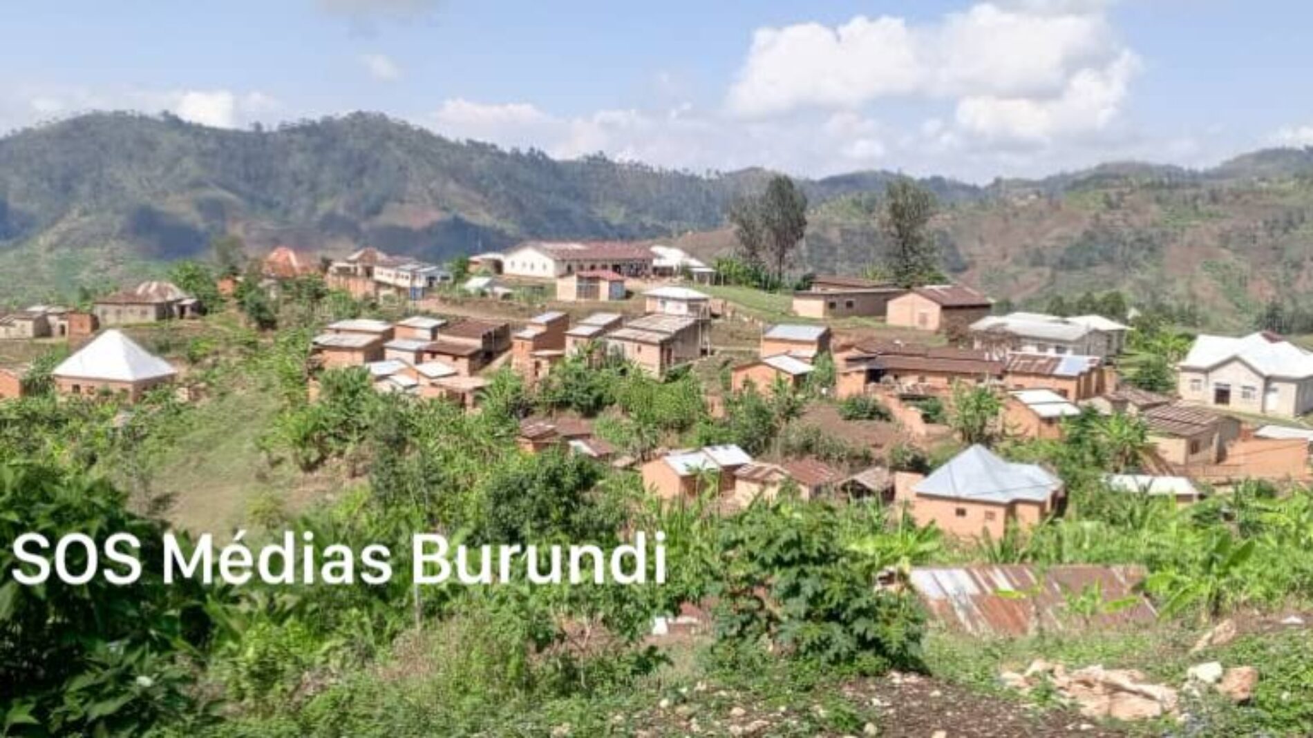 Cibitoke – Un corps mutilé retrouvé dans la forêt de Kibira : la population demande justice