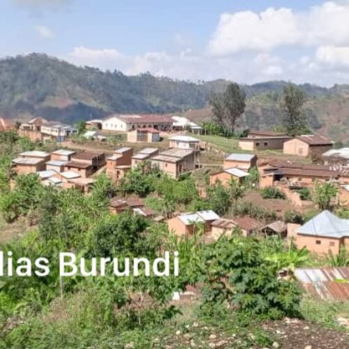Cibitoke – Un corps mutilé retrouvé dans la forêt de Kibira : la population demande justice