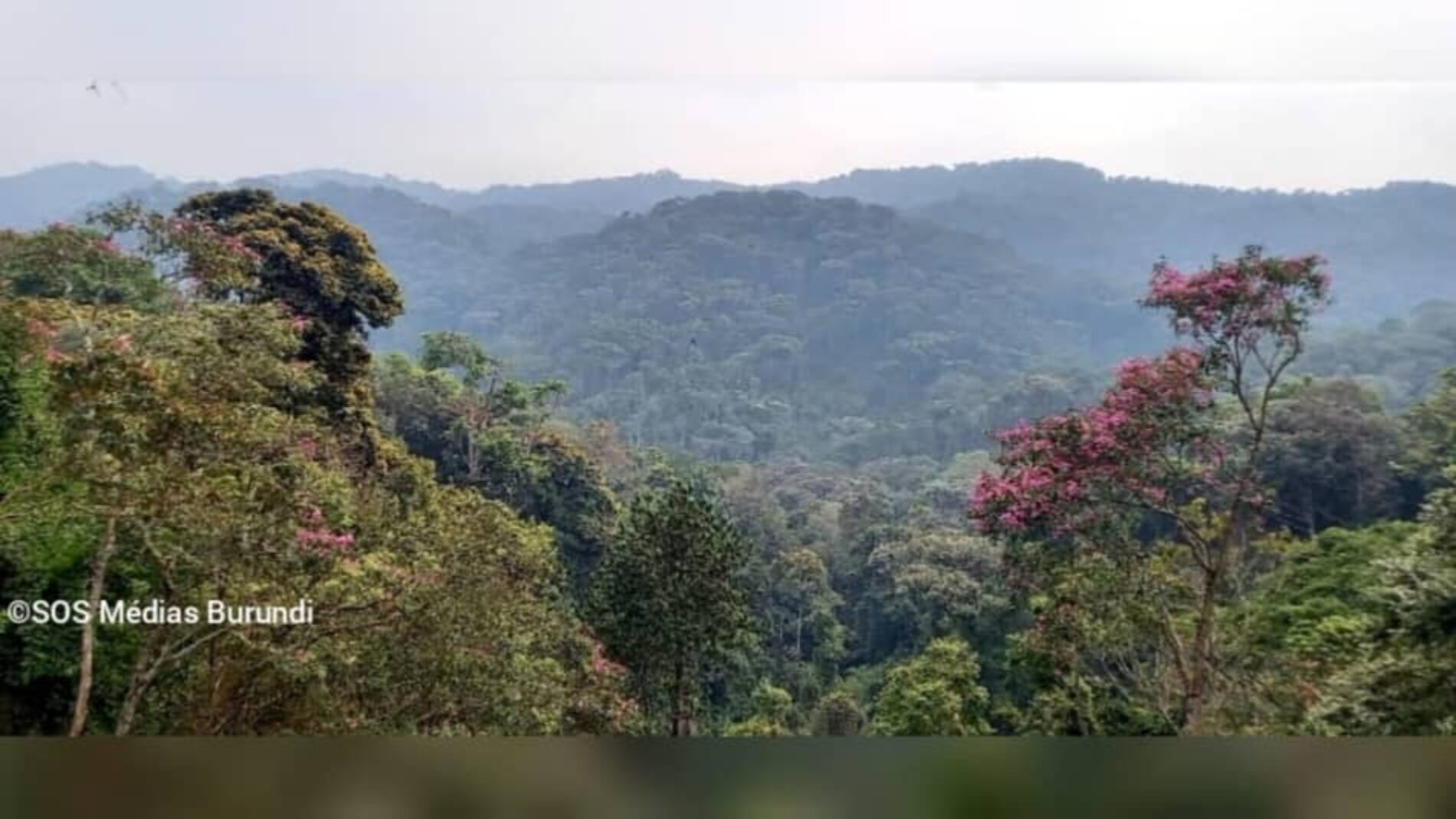 Bukinanyana – Violent clashes in Kibira : at least 12 FLN rebels killed by the Burundian army