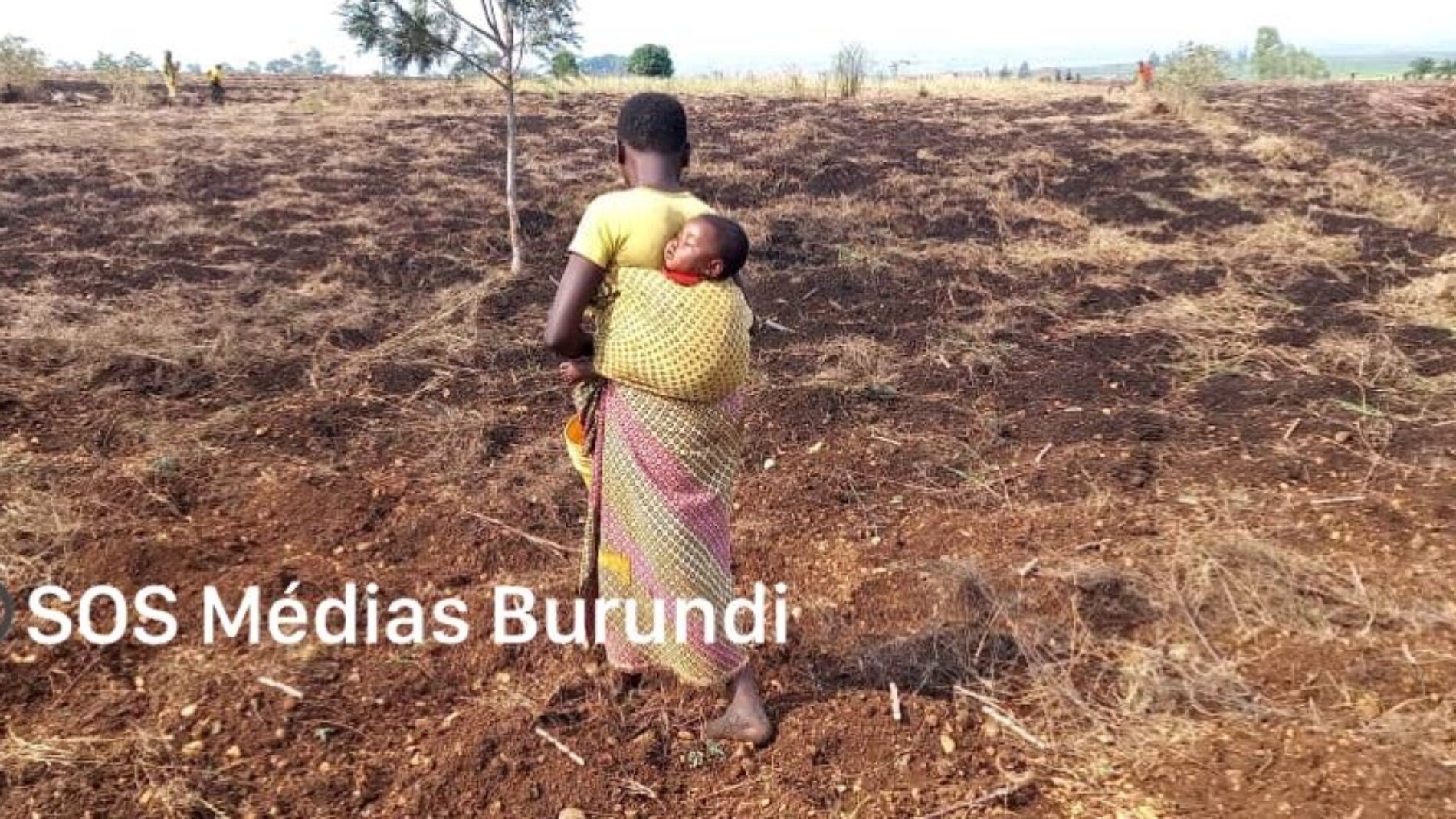 Bujumbura : farmers feel cheated by the fertilizer distribution