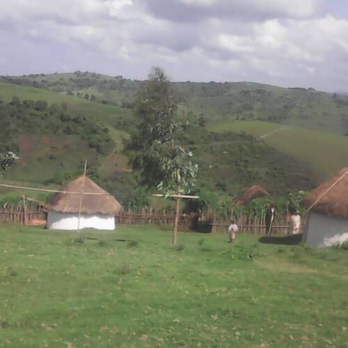 Two young Banyamulenge arrested by the Burundian army in eastern DRC