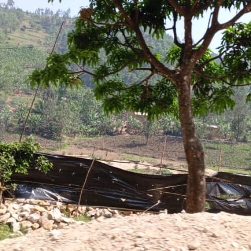 Bujumbura: Jeshi limetumwa kulinda mpaka na dhahabu inayotamaniwa