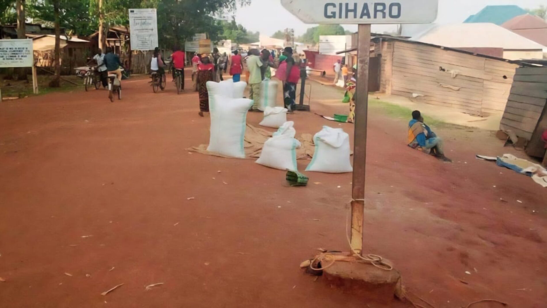 Giharo : the reign of fear and political impunity