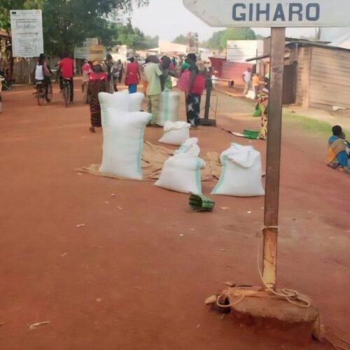 Giharo : the reign of fear and political impunity