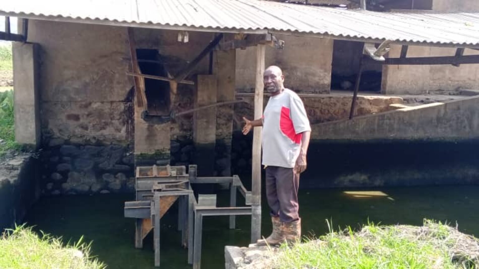 Butanyerera : coffee sold at a loss, producers warn