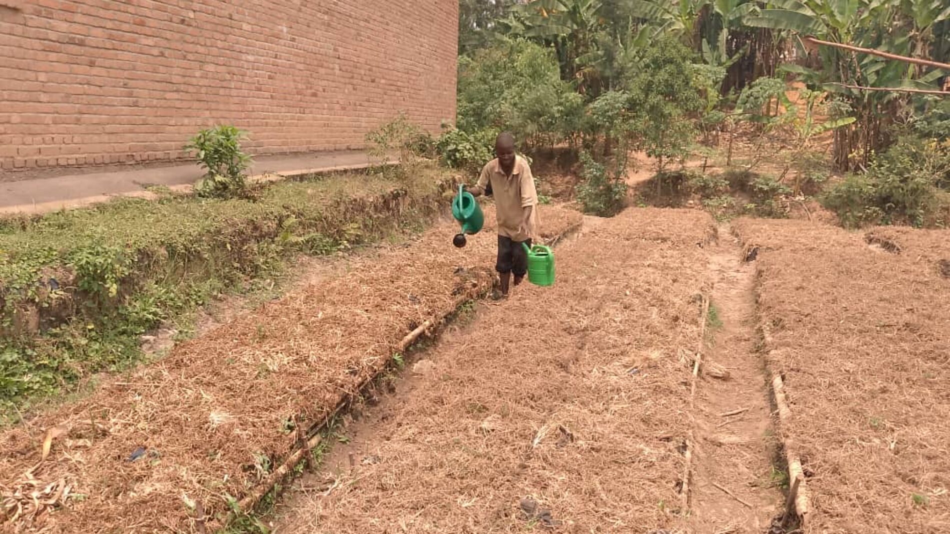 Bubanza : farmers worried about delayed rains and seed shortages