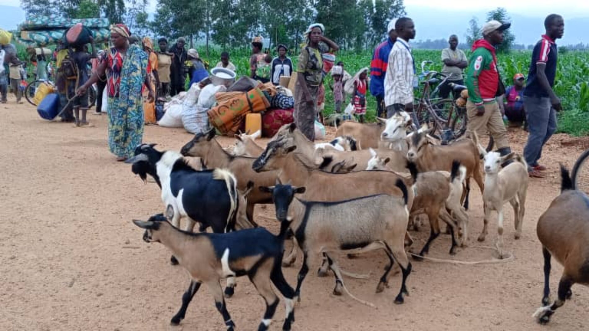 Afflux massif de réfugiés congolais au Burundi : infiltrations armées, tensions sécuritaires et crise humanitaire majeure