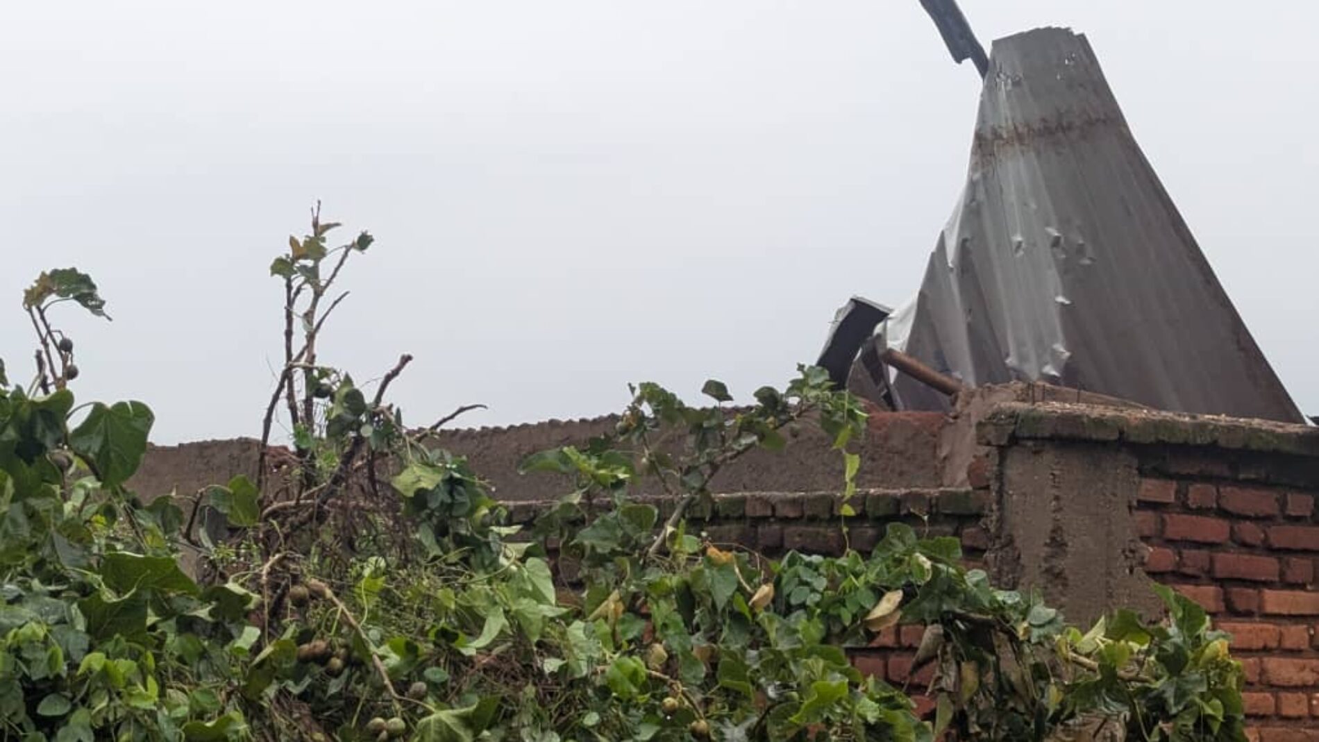 Storm in Bubanza : houses, bridges, and crops heavily damaged