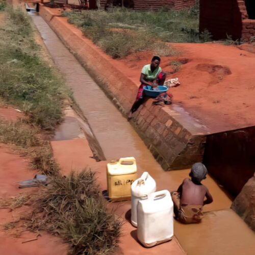 Cibitoke: Kufungwa kwa bwawa la umwagiliaji kunatishia zao la mpunga