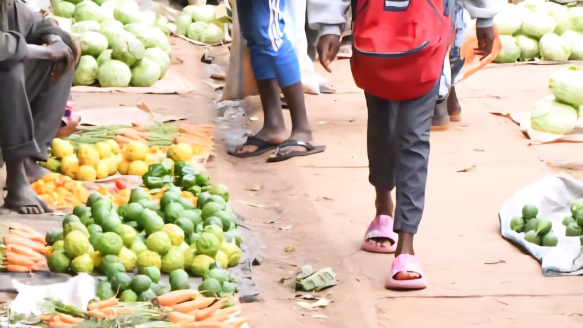Bujumbura : the urea shortage threatens rice production
