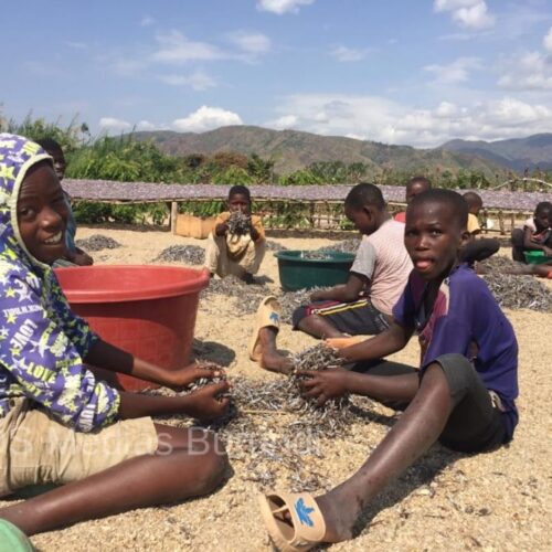 RDC (Lusenda) : enseignants burundais sans salaire depuis six mois, l’école au bord du chaos
