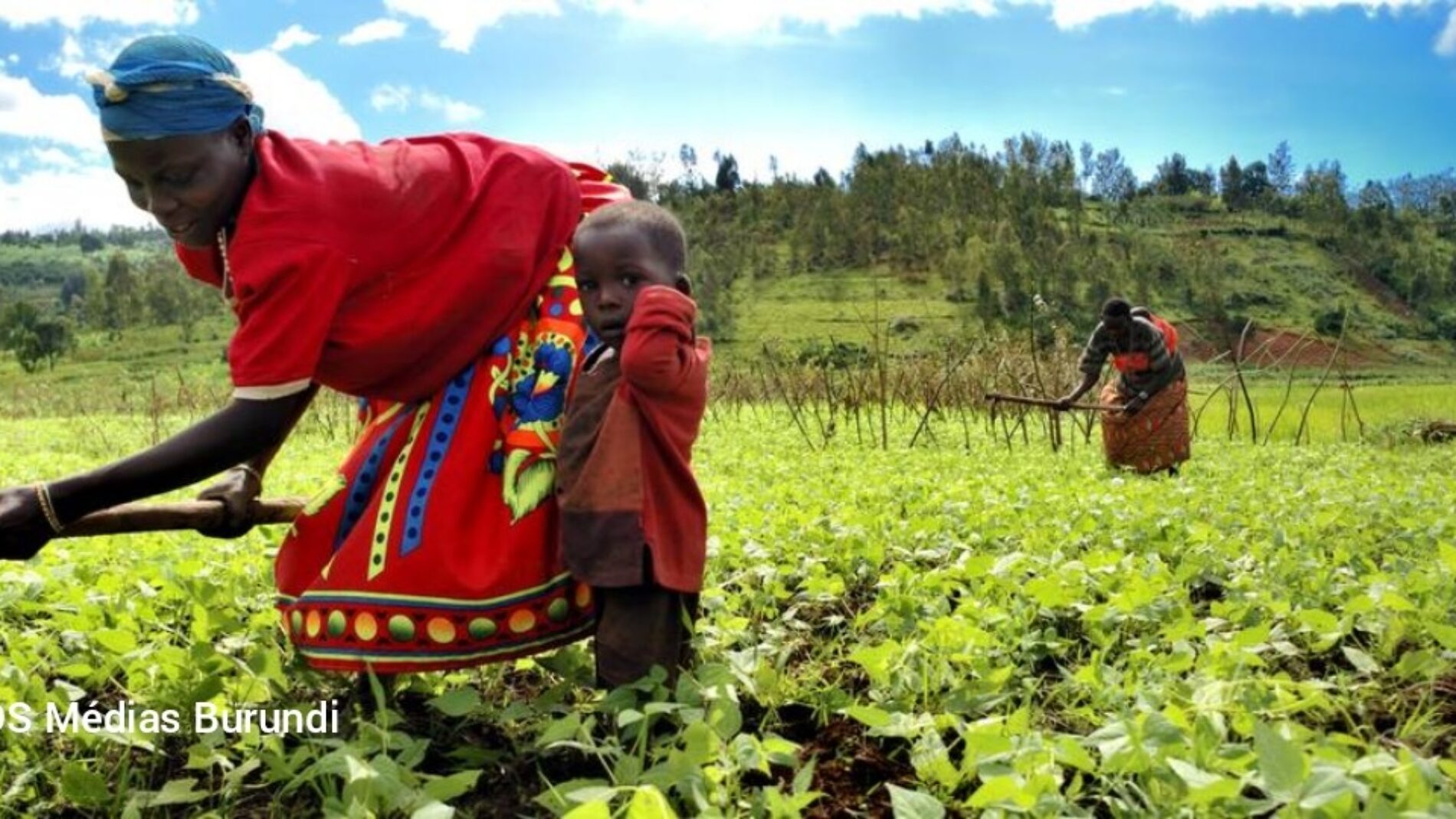 Kiremba: Ucheleweshaji wa mbolea na serikali kutochukua hatua kunatishia usalama wa chakula cha wakulima
