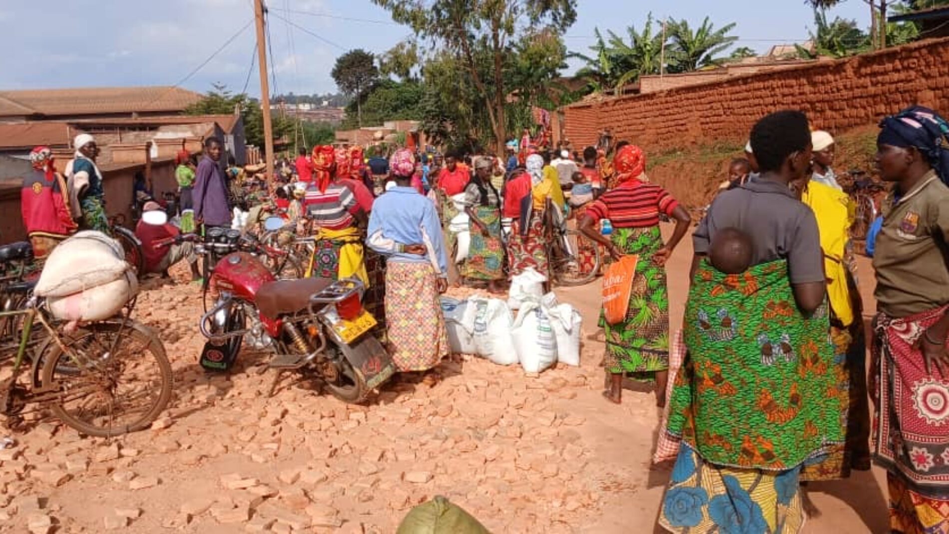 Photo of the week – Gitega : the fertilizer shortage threatens harvests and food security