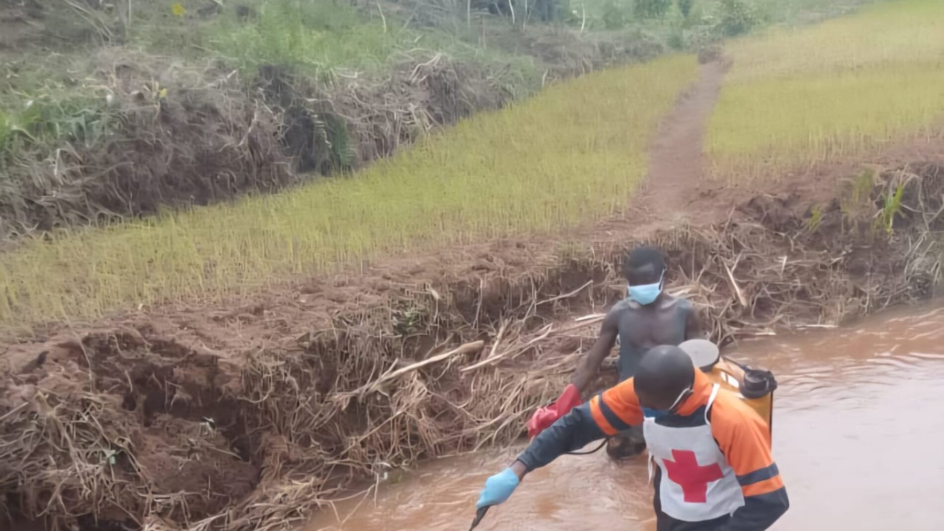 Gitega : a 14-year-old found dead in bush in Kanyonga, an investigation launched