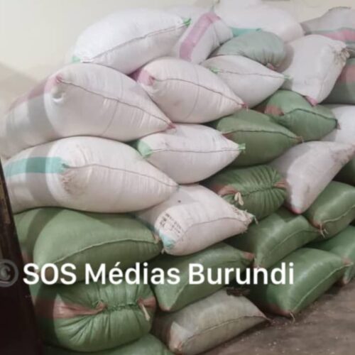 Kayanza : four suspected coffee smugglers arrested in Mparamirundi, tensions with residents and accusations of deaths during the operation