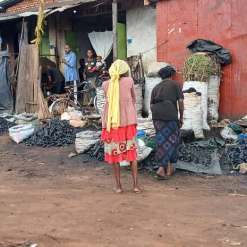 Soaring charcoal prices in Gitega : households under pressure from alarming price increase