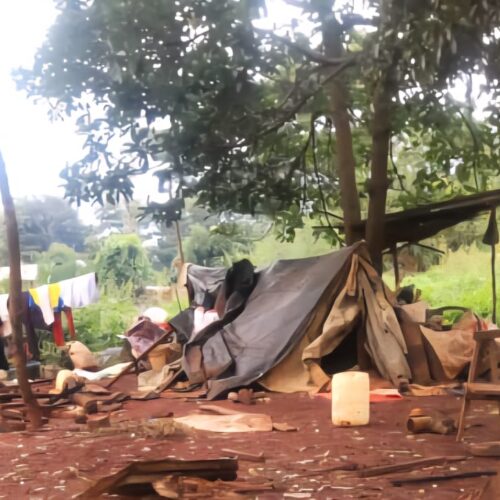 Tanzanie : la prolongation de fermeture des camps, un mois de plus pour un calvaire annoncé