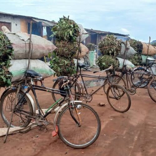Kupanda kwa Bei ya mkaa huko Gitega: Kaya zilizo chini ya shinikizo la ongezeko la bei linalotisha