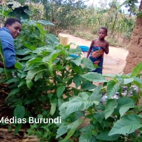 Nakivale, Uganda: Wakimbizi waagizwa kulipa ushuru wa biashara zao, hatua yenye utata kambini