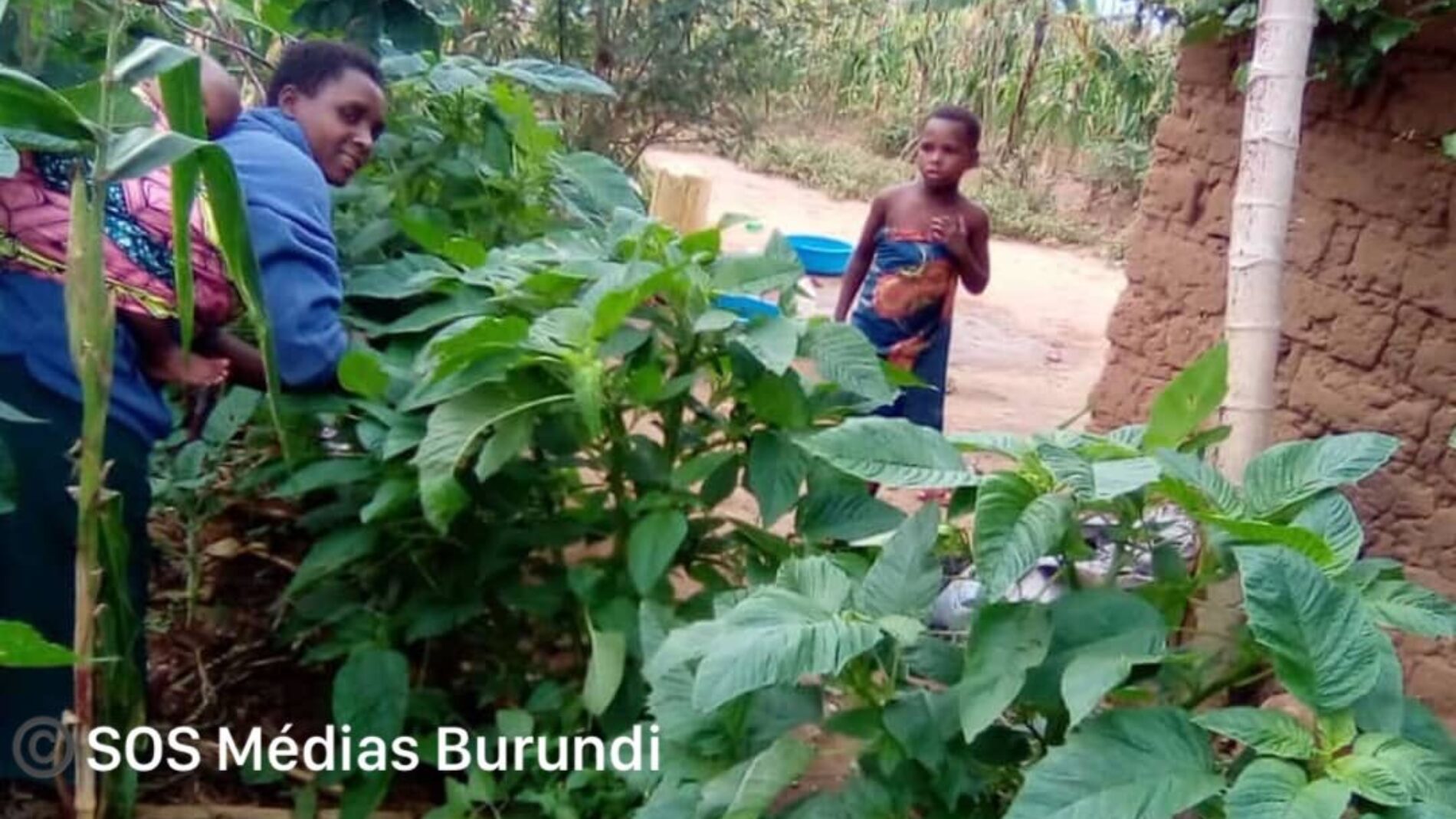 Nkivale, Uganda: kampeni ya usajili wa waliozaliwa imezuiwa na kutokuaminiana kwa wakimbizi
