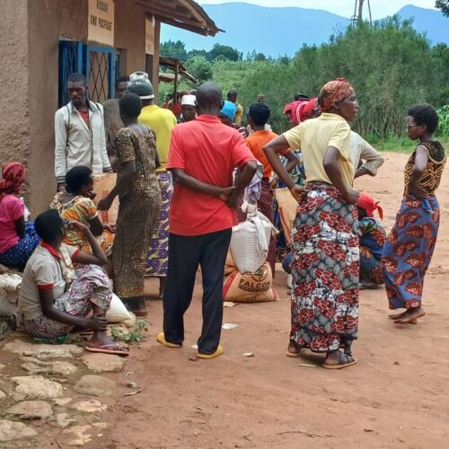 Burunga : the fertilizer crisis turns into a nightmare, farmers fear a food catastrophe