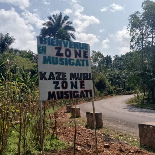 Bubanza : deux palmiers à huile au cœur d’un meurtre et d’une vague de représailles