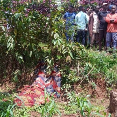 Bugendana : they slit the throat of a man in his sixties who denounced their thefts; five men sentenced to life imprisonment