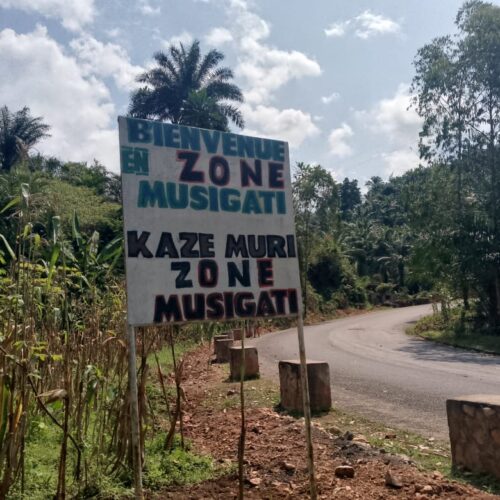 Bubanza: Migomba miwili ya mawese chanzo cha mauaji na wimbi la visasi