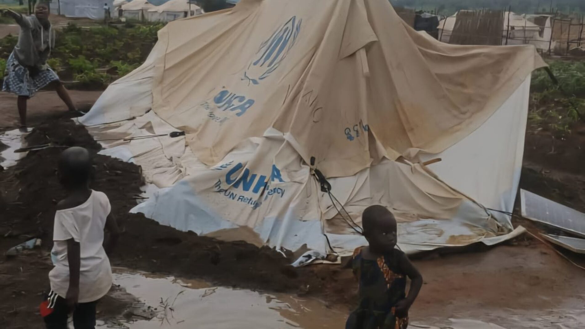 Musenyi : outing to feed goats ends with the death of a young refugee