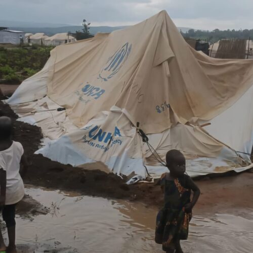 Musenyi : une sortie pour nourrir les chèvres se termine par la mort d’un jeune réfugié