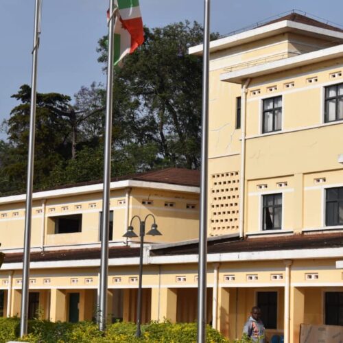 Burundi : une famille décimée par une grenade à Karusi, deux morts et trois blessés graves