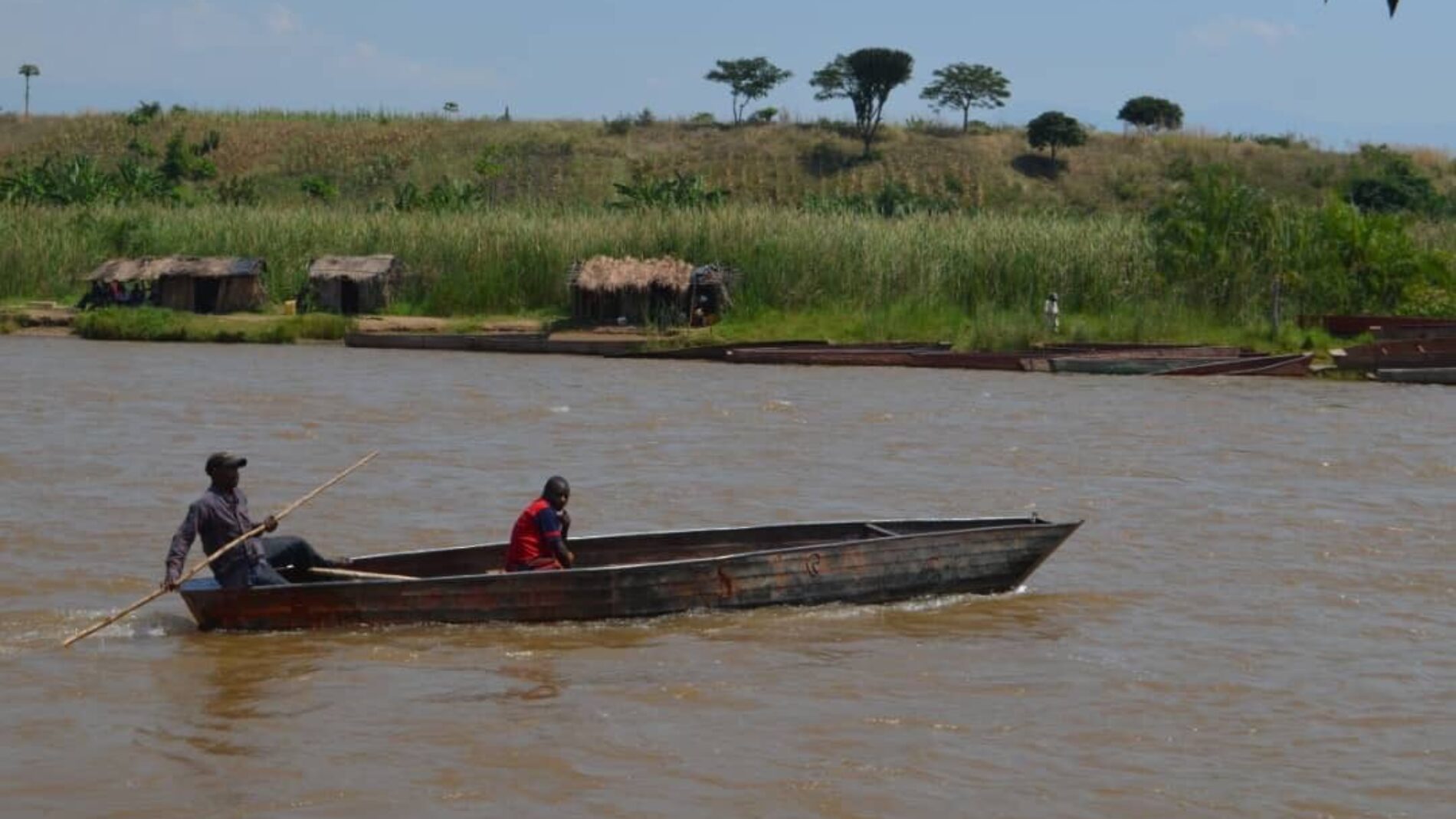 Five Wazalendo killed, three civilians wounded : a hippopotamus at the center of a clash in Nyamitanga