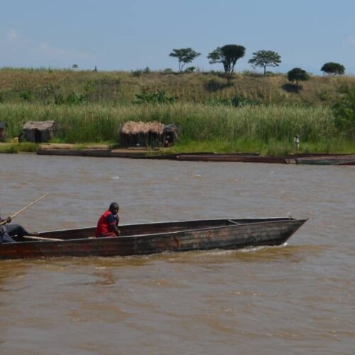 Five Wazalendo killed, three civilians wounded : a hippopotamus at the center of a clash in Nyamitanga