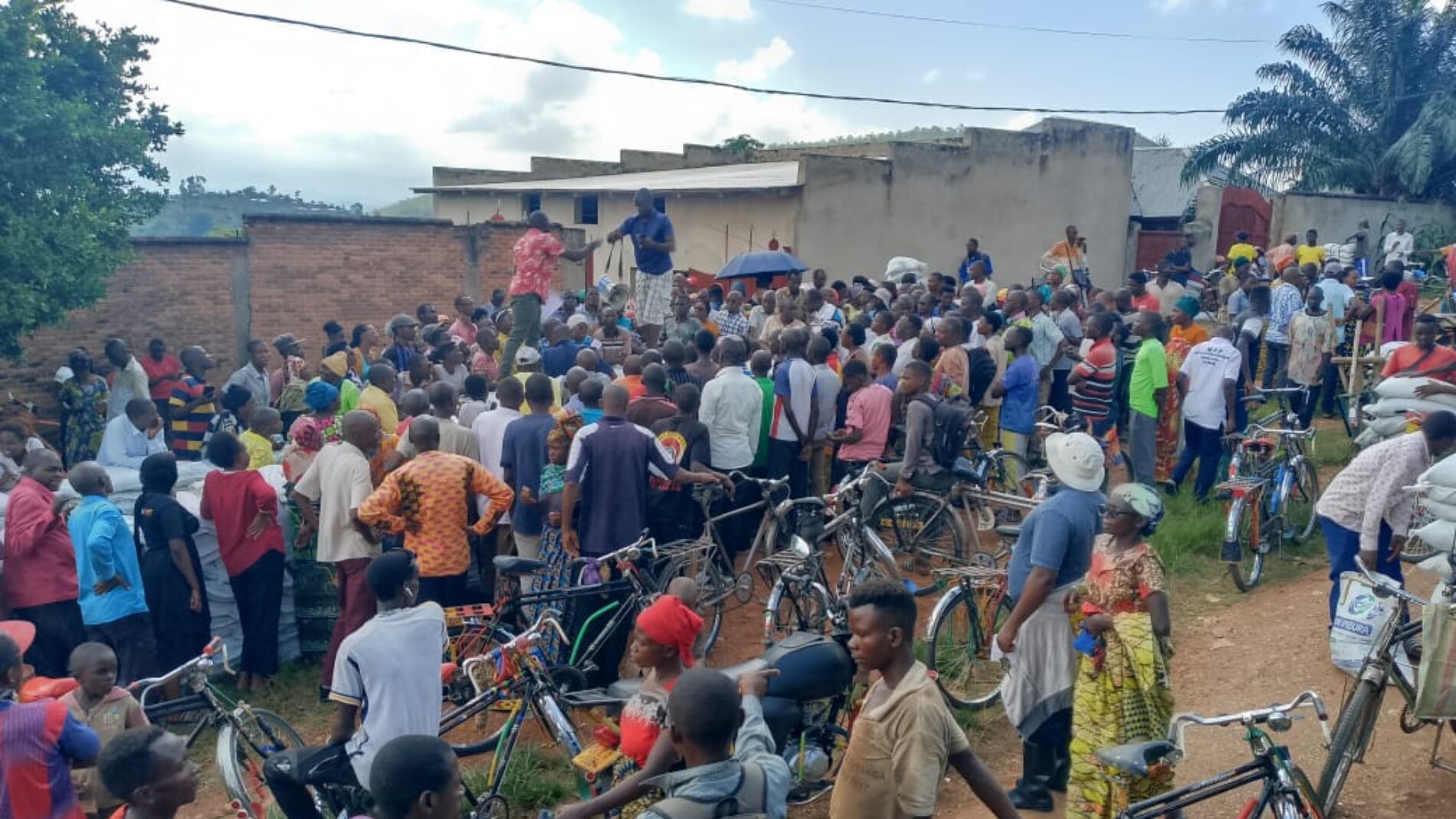 Bubanza : les agriculteurs face à une pénurie persistante d’engrais chimiques
